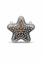 Star Mini Clutch metal