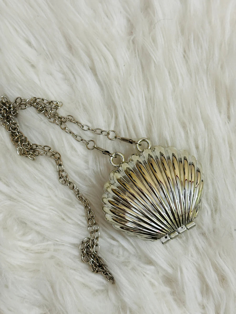 Mini Acrylic Shell Clutch-Silver
