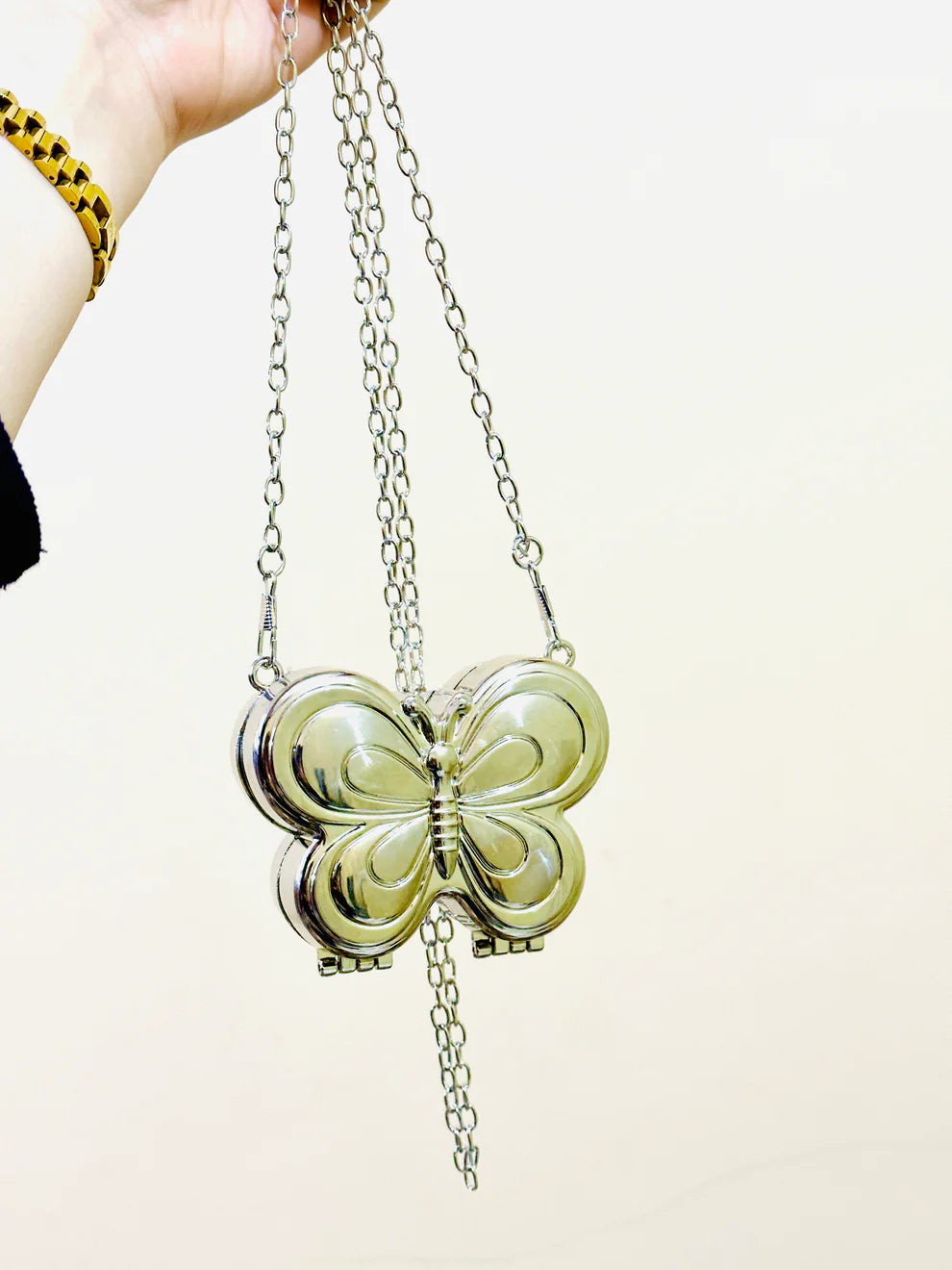 Mini Acrylic Butterfly Clutch-Silver